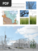 Download Willmar downtown - prairie trees concept by West Central Tribune SN137828064 doc pdf