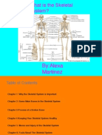 Skeletal System (2)
