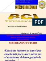 4 Diversificacion Hvca Magno