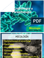 Micología
