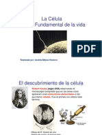 4737524-CELULA31-pdf