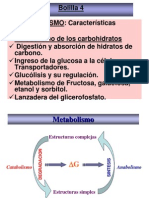 2012 Metabolismo, Dig y Abs de CH