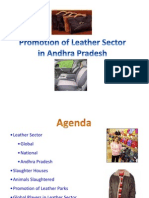 Leather Sector in AP