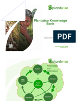 Plantwise knowledge bank