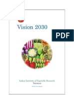 IIVRVision2030 PDF