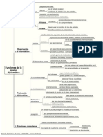 Funciones de La Misión Diplomática