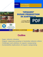 Australia Sugar