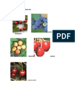 Frutales para clima frío