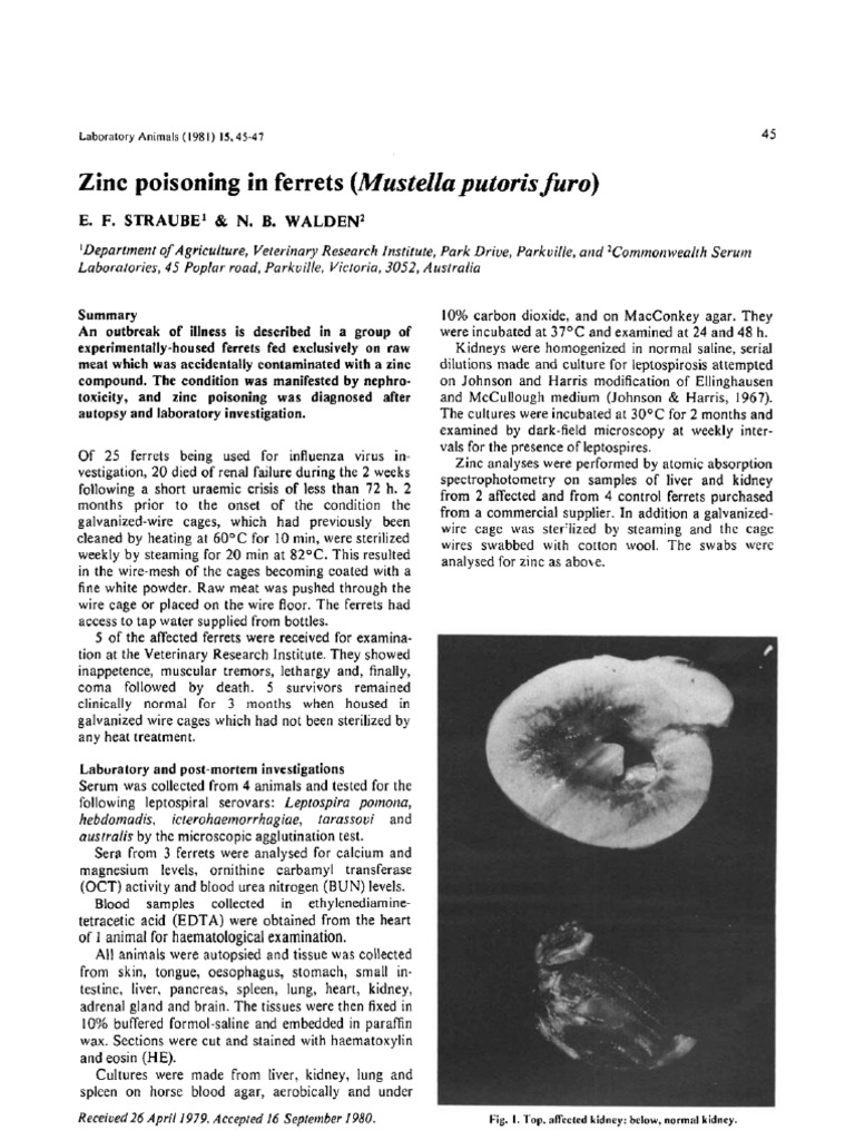 Zinc Poisoning Kidney Zinc