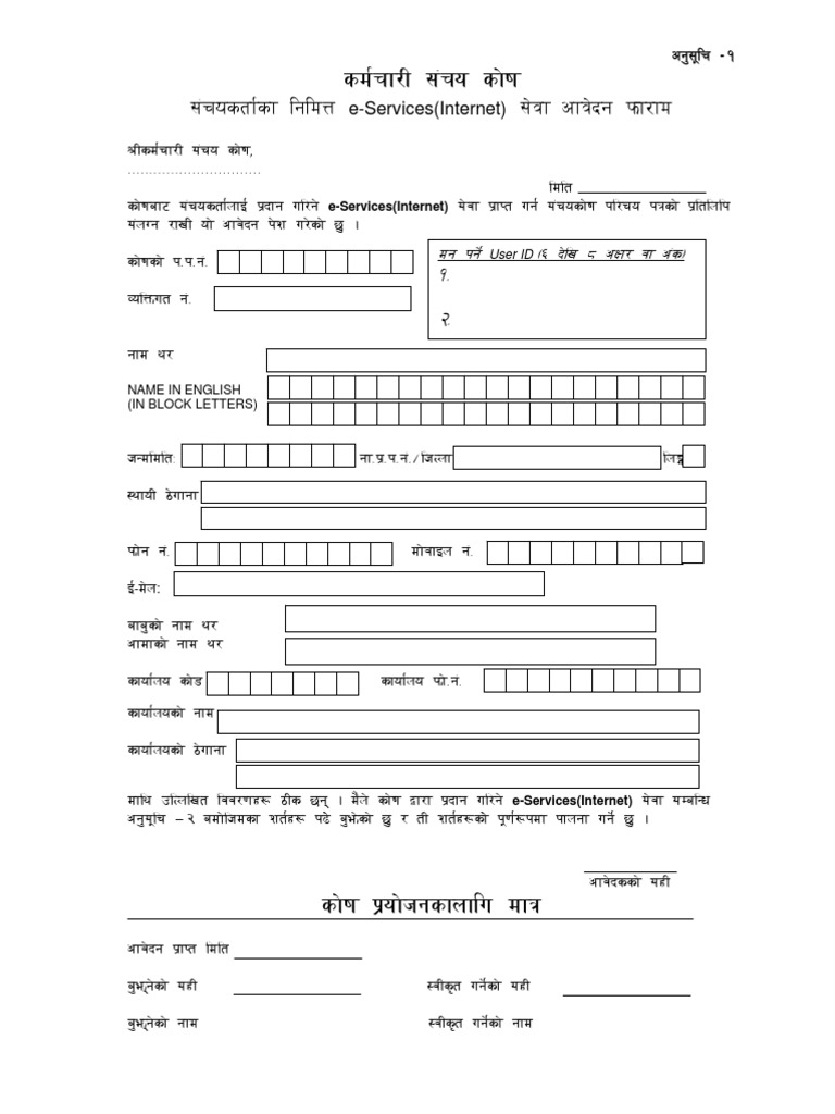 E-Services Form Individual | PDF