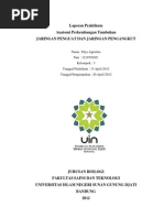 Download Jaringan Penguat Dan Jaringan Pengangkut Elya by Elya Agustina SN137989052 doc pdf