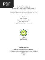 Download Meristem Dan Jaringan Dasar by Elya Agustina SN137989091 doc pdf