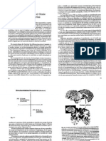 La unión del Este y el Oeste en los hemisferios cerebrales