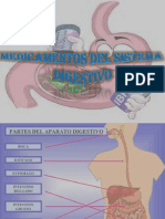 Sistema Digestivo Presentacion