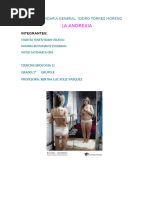 Anorexia.docx