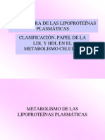 2 Estructura de LPP