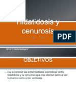 Hidatidosis y Cenurosis 12