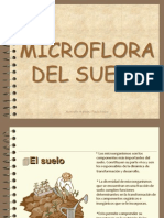 Micro Suelo 1