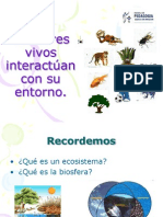 Interacciones ecosistema