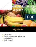 Biossíntese de pigmentos vegetais