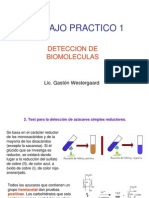 TP Deteccion de Biomoleculas