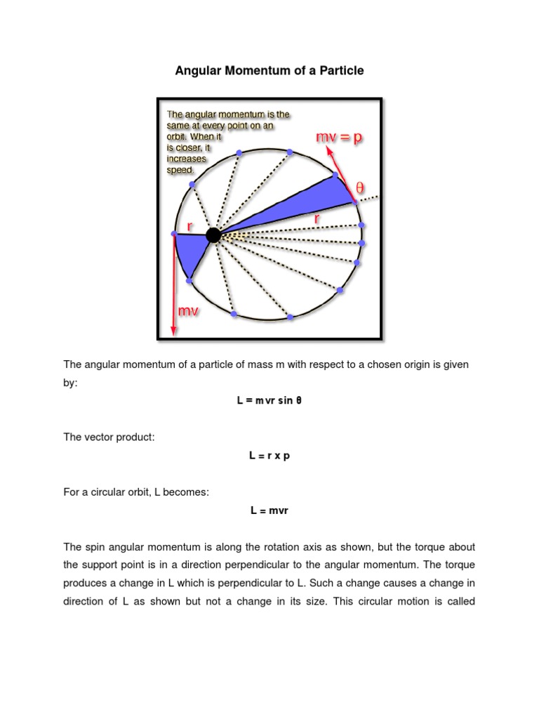 Angular Momentum of A Particle | PDF | Science & Mathematics