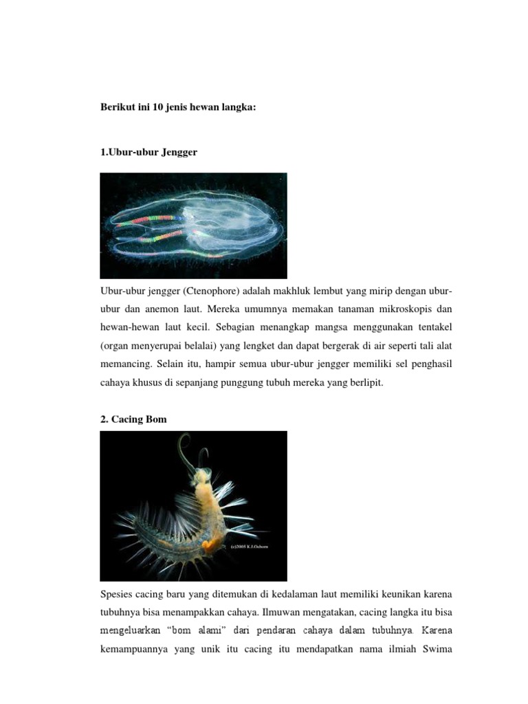 Berikut Ini 10 Jenis Hewan Langka