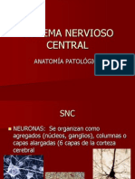 Anatomía-SNC