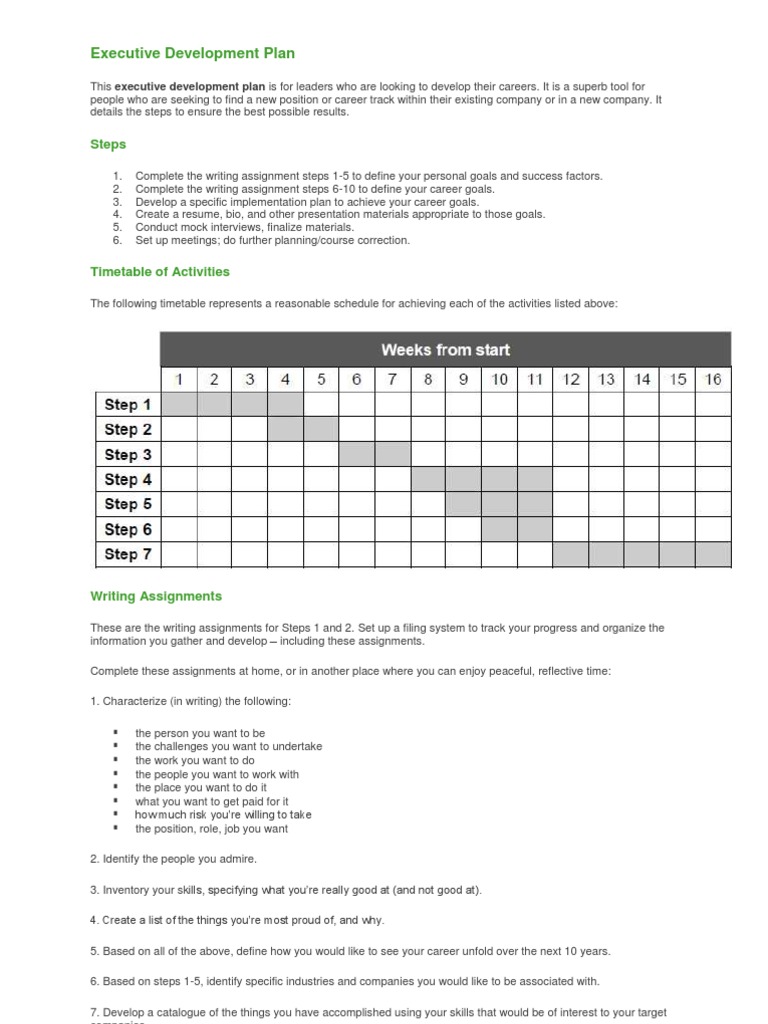 Executive Development Plan for Leaders | PDF
