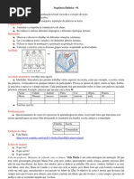 sequencia didatica 1