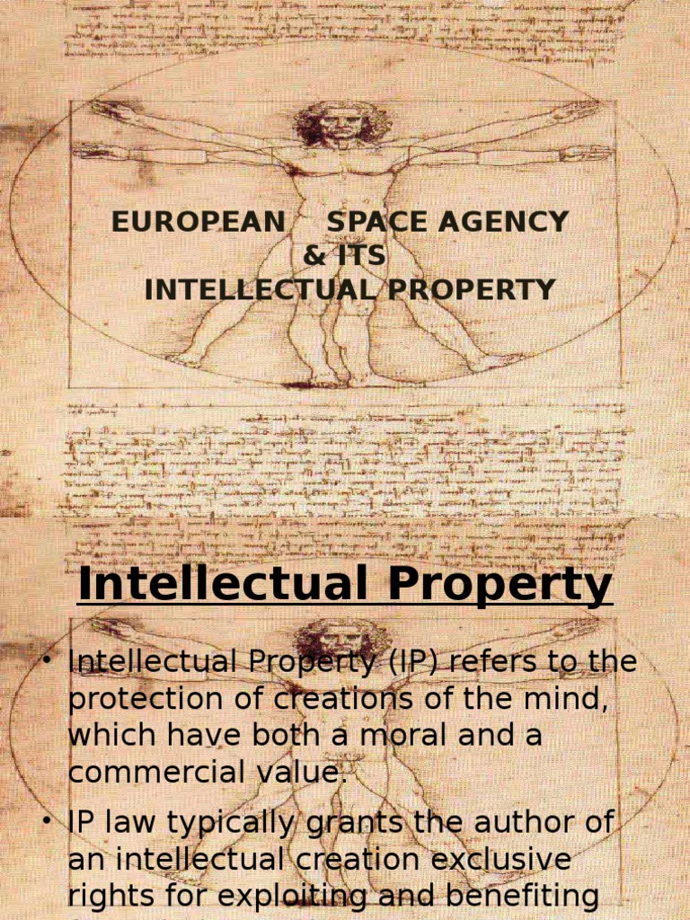 Intellectual Property Rights | PDF | Intellectual Property | European ...