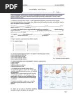 Sistema Digestivo