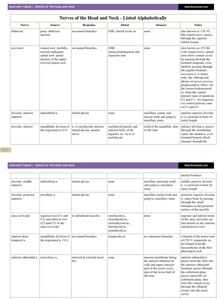 Anatomy Tables-Nerves of The Head and Neck | Download Free PDF | Common ...