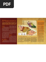 Zoneamento Ecológico Econômico