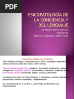 8. Psicopato Conciencia-Lenguaje