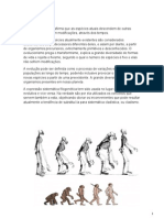 A origem e evolução das espécies segundo a teoria da evolução