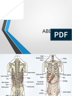 Abdomen