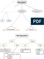 Mind Map Sistem Reproduksi