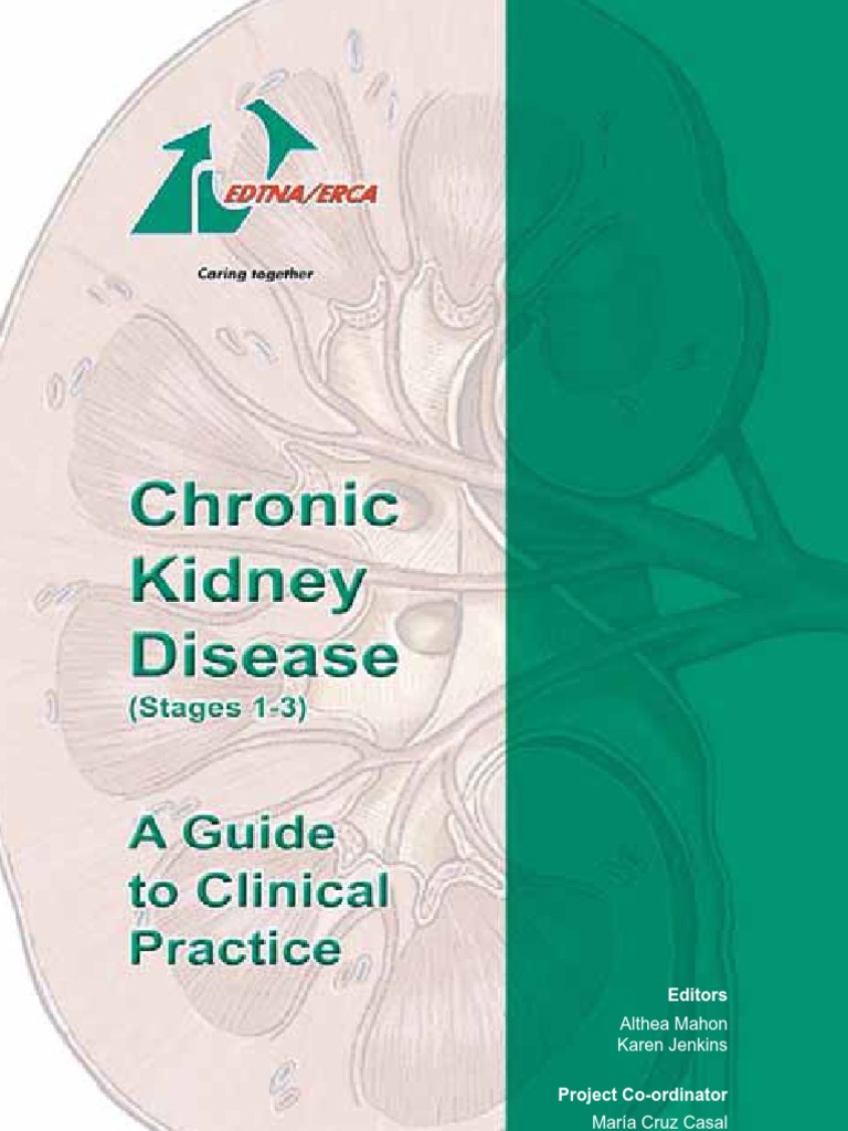 Chronic Kidney Disease 1-3 Stages | PDF | Renal Function | Chronic ...