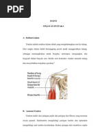 Download BAB II Ruptur Tendon by Intan Wulansari SN138178332 doc pdf