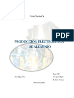 101601500 11 Produccion Electrolitica de Aluminio