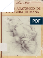 Dibujo Anatomico de La Figura Humana