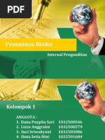 Download Penentuan Risiko Internal Audit by Dana Puspita SN138196775 doc pdf