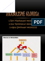 Anabolisme Glukosa