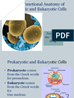 CH 4 Cells