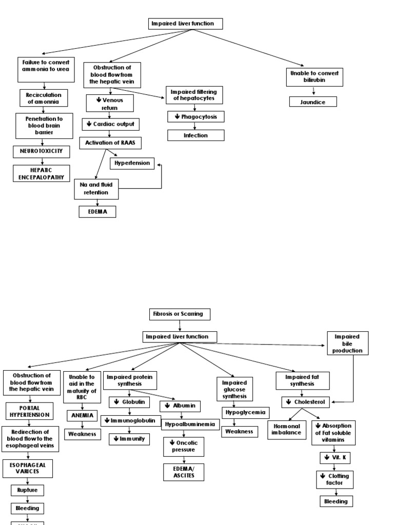 Liver Patho | PDF