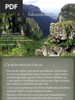 apresentação de zoo 4