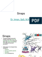 Fisiologi Sinaps (DR - Imran, SPS)