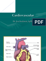 Cardiovascular