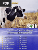 Acidosis y Alcalosis UAB 2